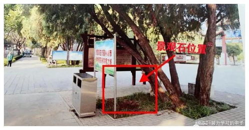 喬裝園林工盜走公園景觀石 襄都公安迅速破案護文物